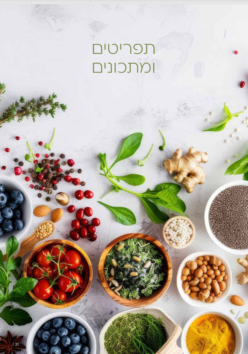 הצצה מתוך המדריך המלא לתזונת מח מנצח - עמוד 1